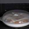 Kitchen Cooking Mold Microwave Egg Cooker Food Grades Plastic Egg Fryer  Breakfast Preparation