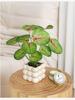 Nordic Bionic Green Faux Bonsai Plants - Indoor Tabletop Decor for Office & Living Room