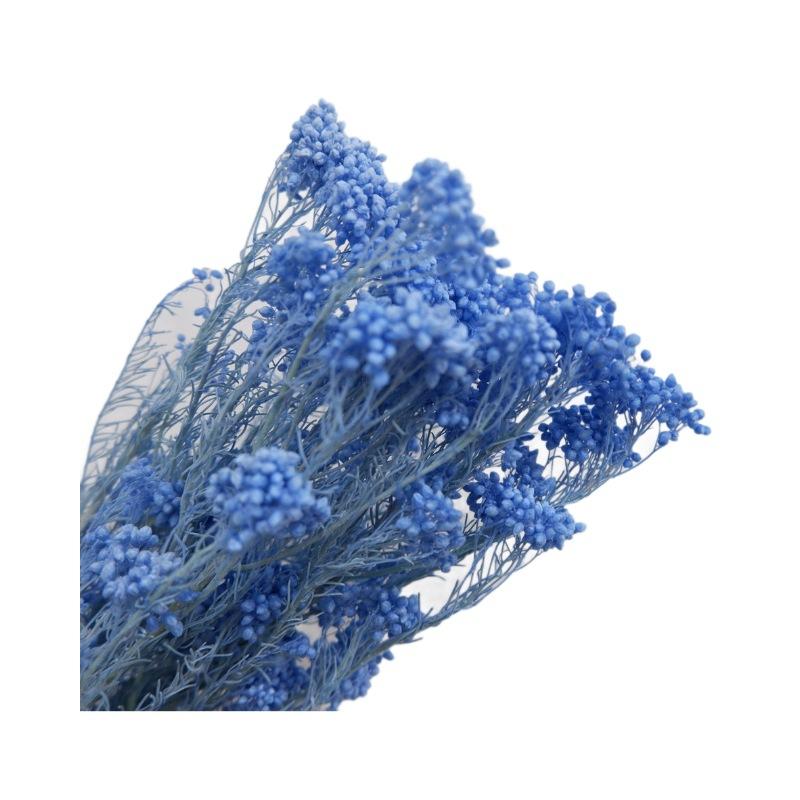 Eternal Flower Bleaching Millet Flower, Preserving Flowers, Rice Flower Eternal Flower Dried Flower Rice Grass Home Decoration Bouquet Accessories