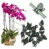50Pcs Plastic Plant Clips Vine Fixing Clip Gardening Clips for Orchid Tomato