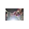 The greatest showman [dvd + digital hd]