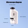 Children's Hand-Held Portable Optical Microscope Toy Microscope Biological Science Experiment Pupil Gift