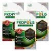 Brazil Green Propolis Ultimate Artepillin C 28mg 60 Capsules 3 pcs