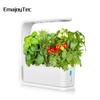 Premium Smart Hydroponic Planter Kit with Growth Lamp for Soilless Cultivation