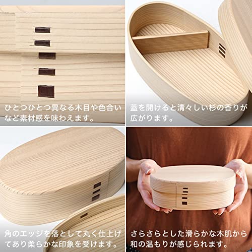 Akita Odate Ryobian Unpainted Magewappa Koban Bento 480ml (Small)
