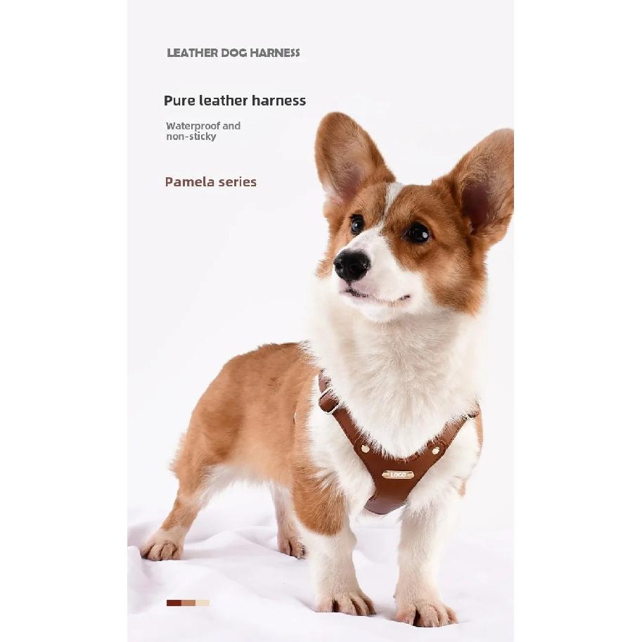 Loudik Soft Leather Dog Chest Strap Pet Leash Set Walking Leash Puppy Strap Small and Medium Dog Out Accessories Wholesale