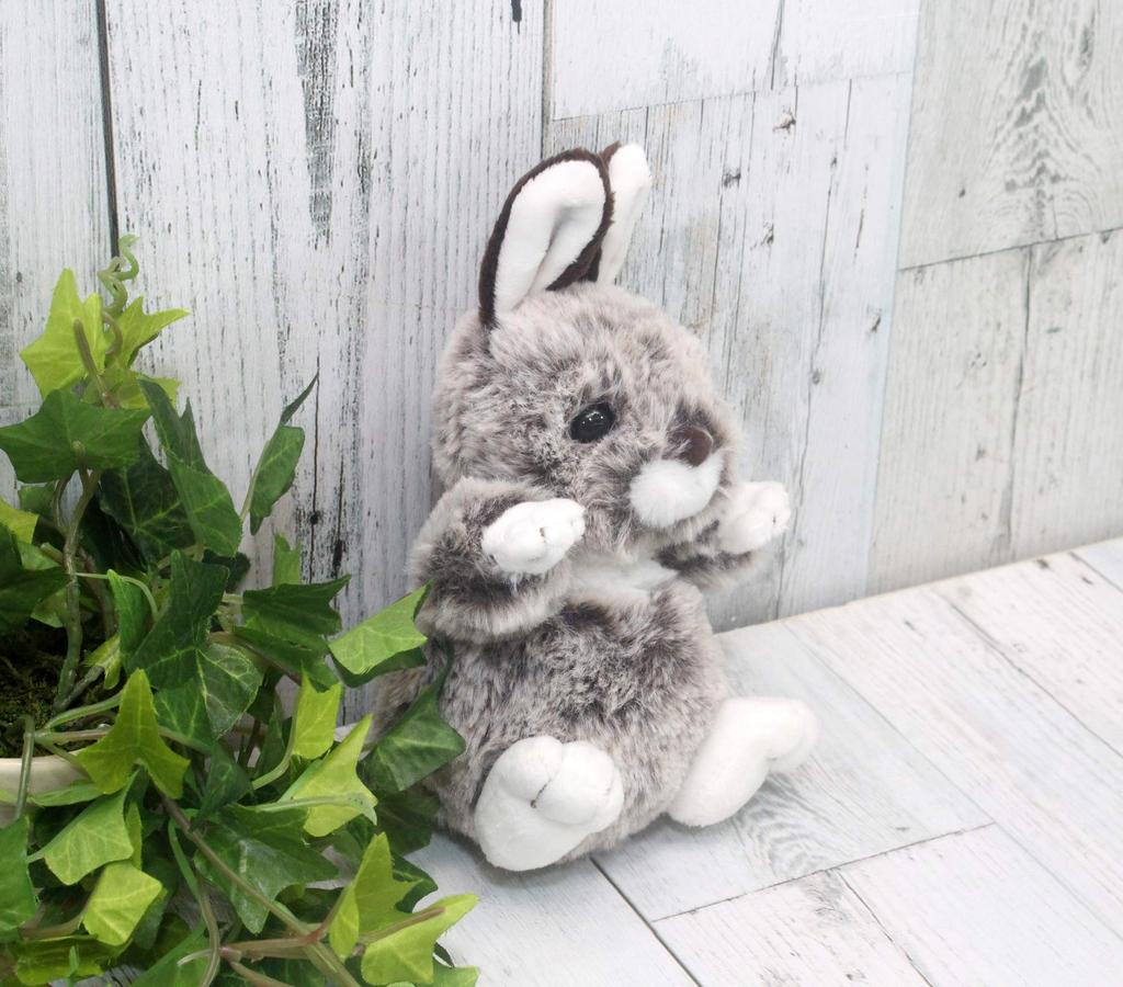 Take Off Rabbit Mimi Brown