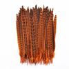 10Pcs Colorful Natural Female Pheasant Feathers for Decoration Crafts Long Chicken Feather Decor Carnival Accessories Decoration