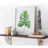 Simple Wall-mounted Shelves L Bracket Metal Shelves Partition Iron Z Bracket A Word Plate Bracket
