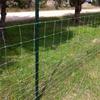 Custom High Strength Galvanized Farm Fencing Wire Mesh Hinge Joint Fence For Field Deer Goat Sheep