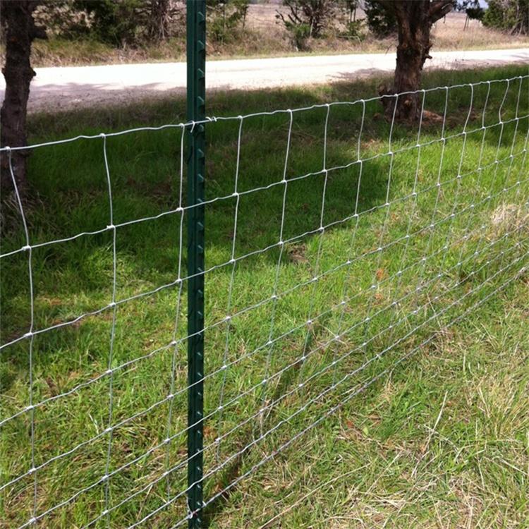 Custom High Strength Galvanized Farm Fencing Wire Mesh Hinge Joint Fence For Field Deer Goat Sheep