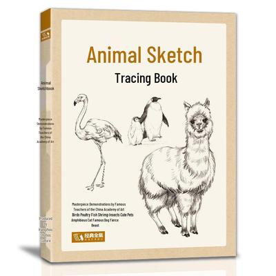 Libro da colorare e tracciare animali per principianti: Guida Completa per Studenti da Zero