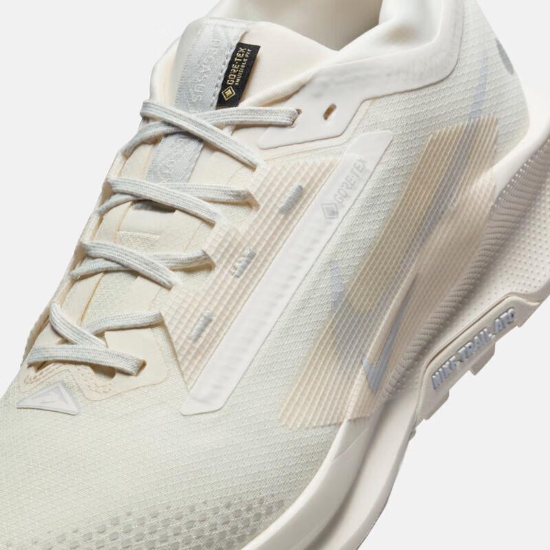 Nike Men's Pegasus GTX Winter Running Shoes