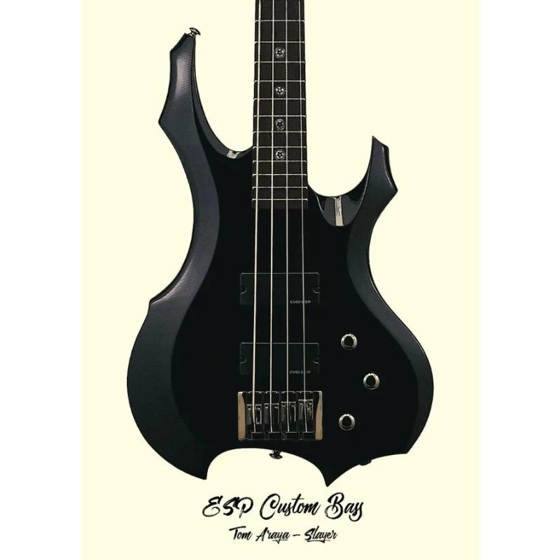 Famous Guitars Used By Famous Bands and Singers Music Posters Prints Canvas Printing Wall Art Picture for Living Room Home Decor