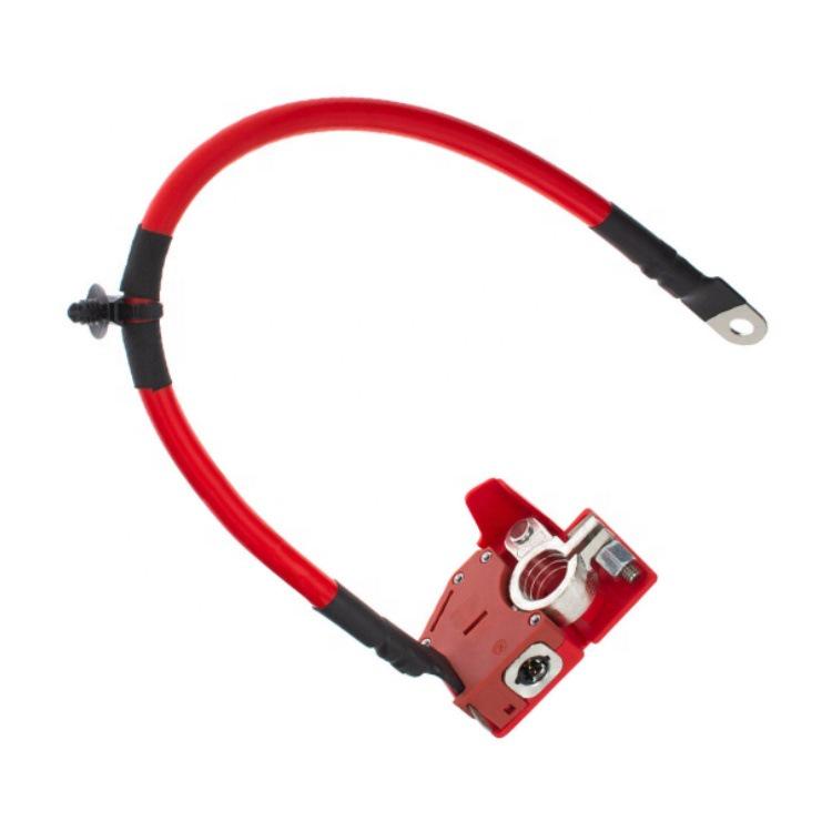 BMW 3 G20 Batterie Pluskabel - Teilenummer. 61128796155