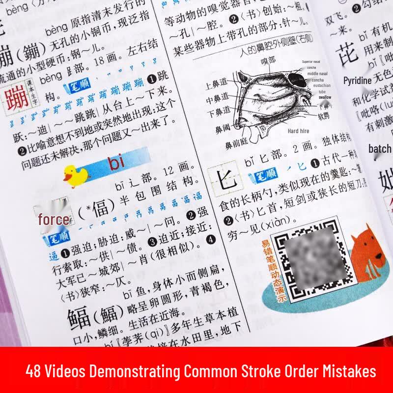 Primary School Educational Books & Dictionaries