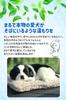 TASINO Border Collie Plush Realistic and 26 X 18 Looks Just Like the Life Toy, Cute, Cm,