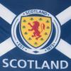 Scottish FA Crest Flag