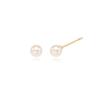 5mm  Pearl 14k Earrings LPFL4A05G