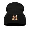 Cute puppy head sticker knitted hat autumn and winter street fashion crimped pullover black hat