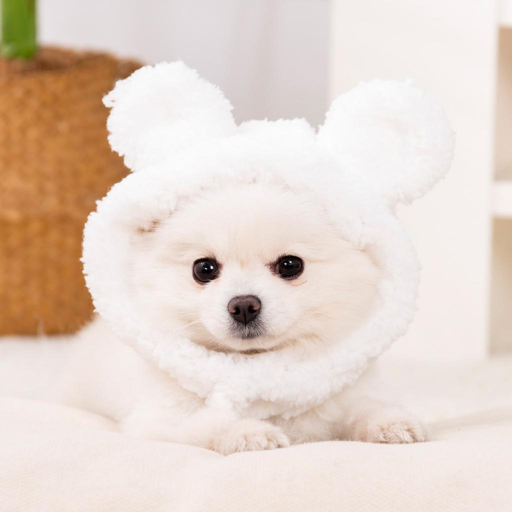 Pet Costume Cap with Ears  Shape Hat Party Cosplay Dress Accessories for Cats and Small Sized Dogs
