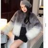 Manteau en fausse fourrure pour femme, mode dégradé de couleurs, automne hiver, élégant, chaud, vêtements d'extérieur, vestes en fausse fourrure pour dames