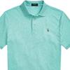 Polo Ralph Lauren Einfarbig Logo Bestickt Pullover Lässig Locker Kurzarm Poloshirt Herren Tops Mintgrün 710870645-009