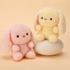 13cm Super Cute Animal Companion Doll Rabbit Tiger Ragdoll Polar Bear Learning Buddy Doll Table Companion Doll Kid Birthday Gift