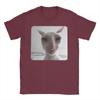 Funny James Cat Meme Pure Cotton T-Shirt For Man Summer Cute  Classic T Shirts Round Neck Harajuku Tee Shirt Oversized Loose