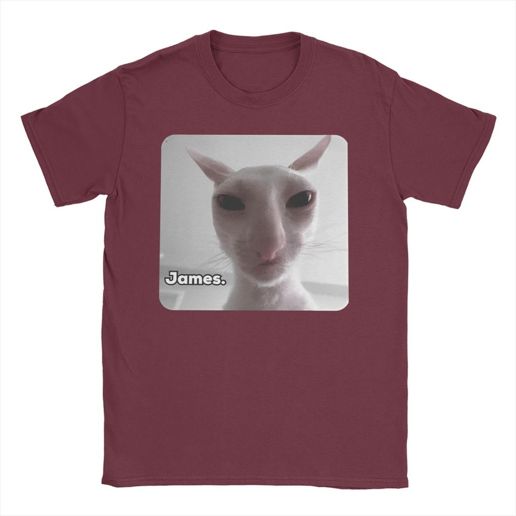 Funny James Cat Meme Pure Cotton T-Shirt For Man Summer Cute Classic T Shirts Round Neck Harajuku Tee Shirt Oversized Loose