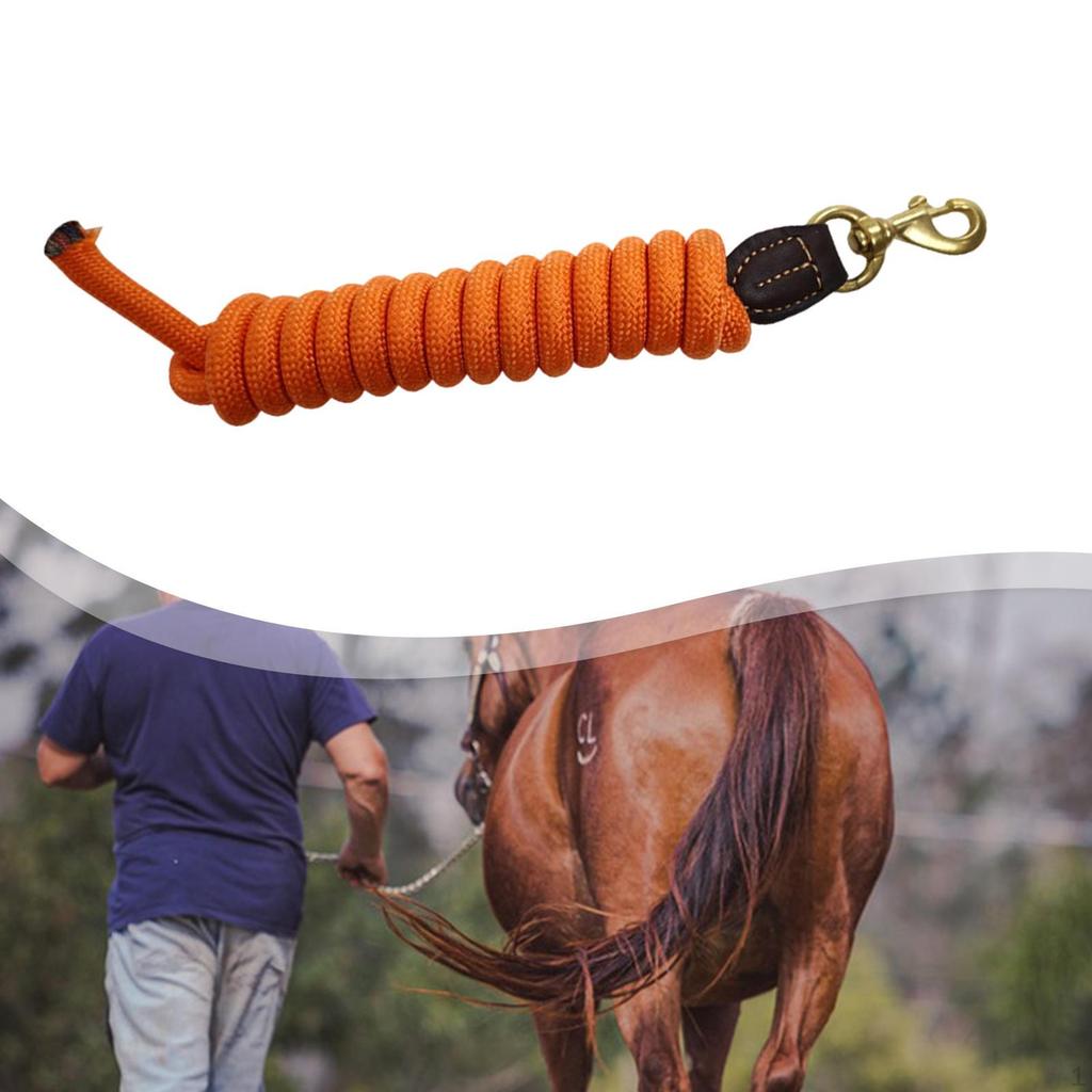 Rope Horse Tack with Snap Practical Strong Heavy Duty Lunge Leash Use