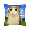 Pillow Case Space Banana Aliens Cat Square  Pillow Cover For Couch Sofa Bedroom Novelty Pillowcases