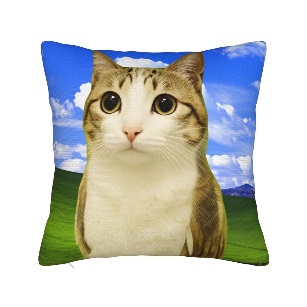 Pillow Case Space Banana Aliens Cat Square Pillow Cover For Couch Sofa Bedroom Novelty Pillowcases