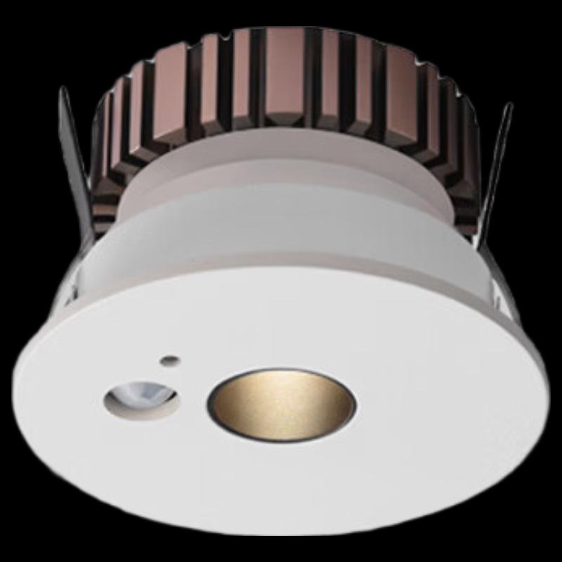 

Recessed Emergency Downlight
