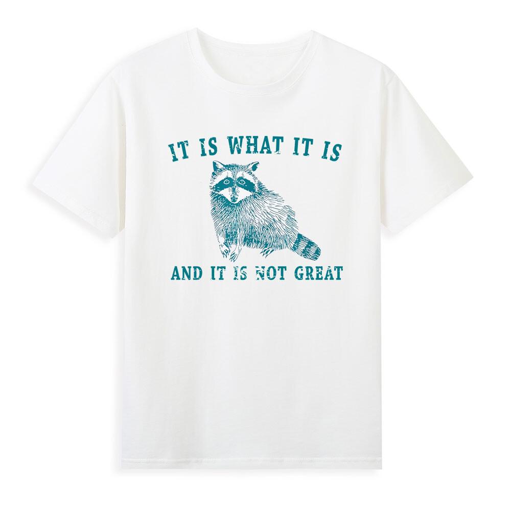 It Is What It Is And It Is Not Great Funny Raccoon Meme Sarcastic Quotes Tshirt S