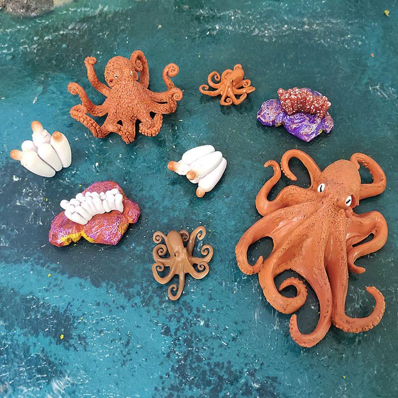 Detaillierte Kunststoff-Oktopus-Lebenszyklus-Figur für interaktives Lernen und Spielen