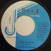 7inch Record LIEUTENANT STITCHIE  Wear Your Size NONE Jammys Records 1987 Jamaica Reggae Ska  Dub Used