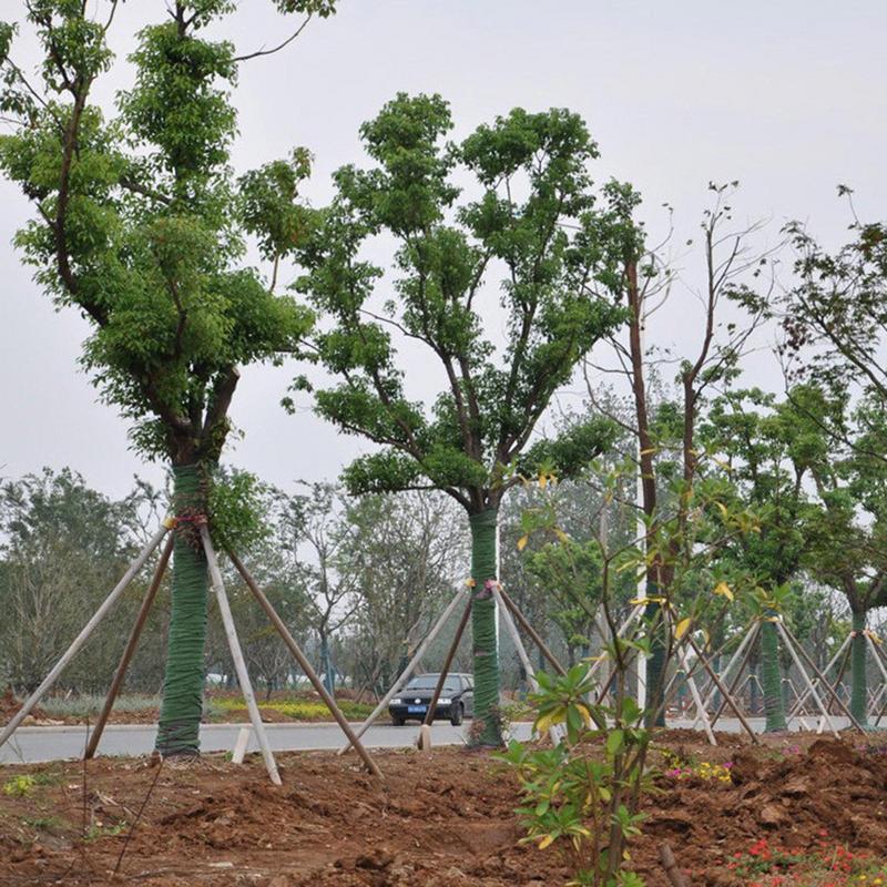 Burlap Tree Wrap Burlap Fabric For Trees Bandage Packing Tree Protector Tree Wraps To Protect Bark For Keeping Warm And Moisturi