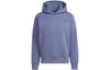 Originals Trefoil Sweatshirts Men's Purple Hooded Moderate Regular H62533
