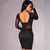 Mode Sexy Langarm Rückenfrei Netz-Einsatz Sexy Kleid Schlank Rundhals Schwarz Sommer Bodycon Kleid Damen Club Freizeitkleidung