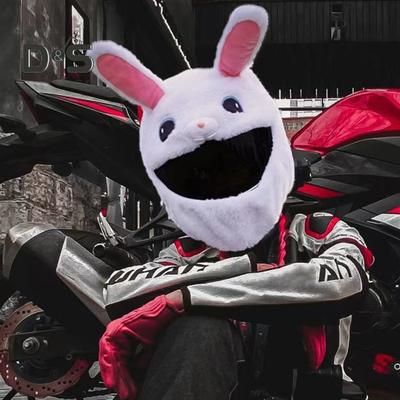Motorradhelmbezug, staubdicht, universeller Fahrradhelmbezug, lustige Motorrad-Kopfbedeckung aus Plüsch für Integralhelme