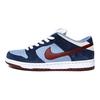 Nike Sb Dunk Low Ftc Finally 313170-463