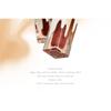 INSITI - Light Shade Filter Soft Mist Lip Glaze - 6 Colors