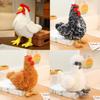 Plush Rooster Toy With Pp Cotton Filling For Childrens Gift And Collection