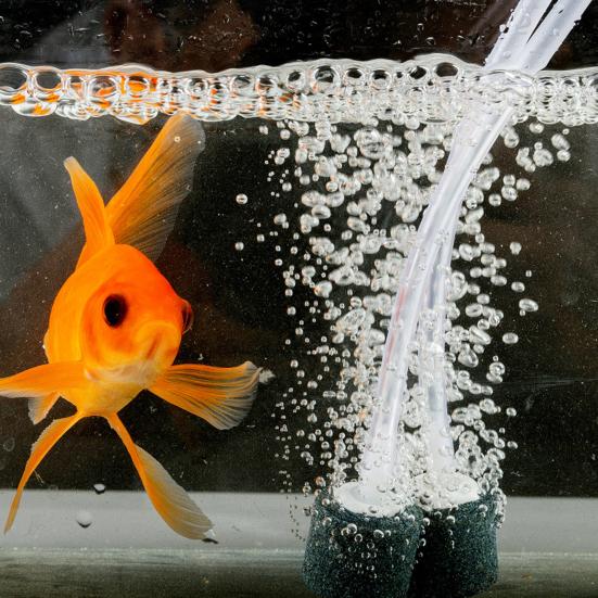 Mini Aquarium Air Pump Silent Energy Efficient Fish Tank Accessories Compact Portable USB Charging Oxygen Pump for Home Outdoor Fishing Oxygen Supply