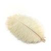 10Pcs Ostrich Feathers Decorative Vase Pluma Wedding Table Centerpieces Carnival Accessories DIY Creative Leisure Craft Supplies