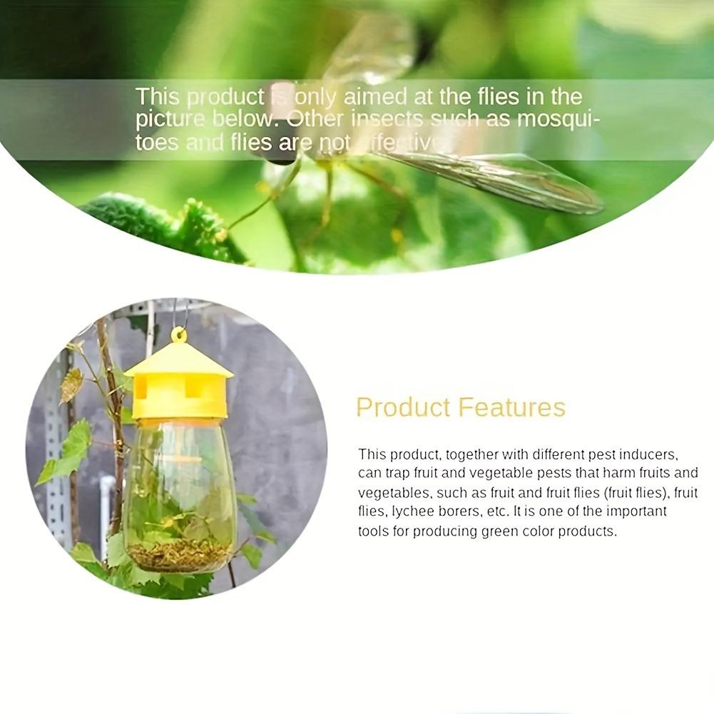 1 Piece Sustainable and Reusable Fruit Fly Trap - Non-toxic, Requires No Electricity, Suitable for Pest Control In Kitchens and Orchards