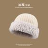 Wool hat women's autumn and winter 2025 new thickened warm face small versatile plush wool fisherman hat