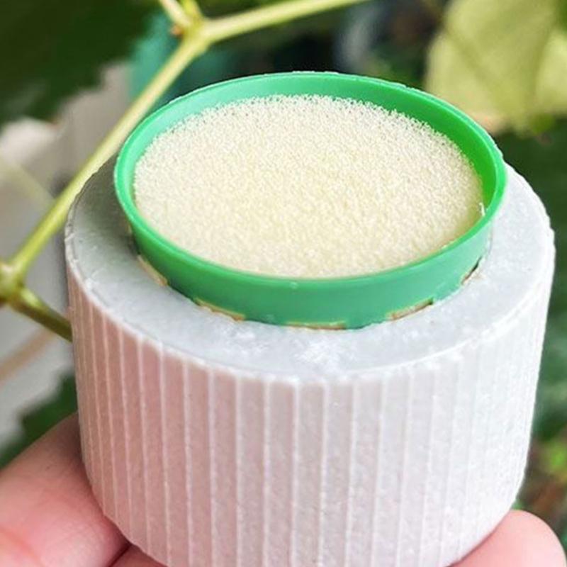 30 Stück Keramik Pflanzengewichte Kein Auftrieb Vegetationsstabilisatoren für Aquascaping Landschaften