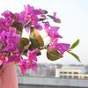 Artificial Bougainvillea Speetabilis Realistic UV Resistant Fake Silk Flower Indoor Outdoor Garden Wedding Party Faux Bloom Decoration